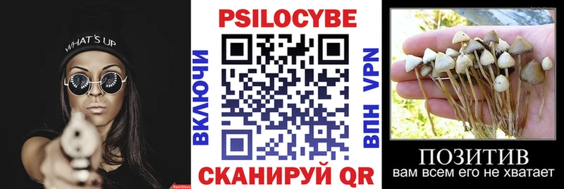 Галлюциногенные грибы прущие грибы Череповец