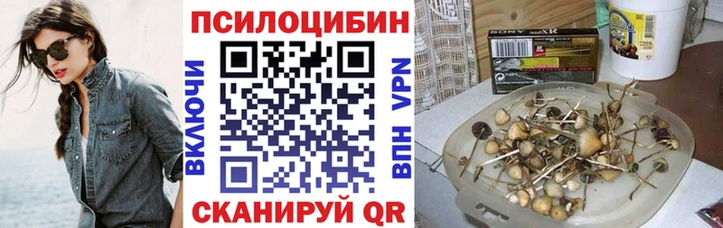 магазин продажи наркотиков  Череповец  Галлюциногенные грибы Magic Shrooms 
